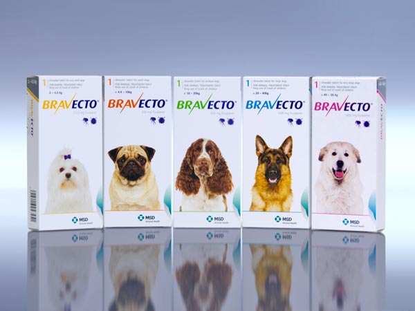 MSD Animal Health / Bravecto Campaign